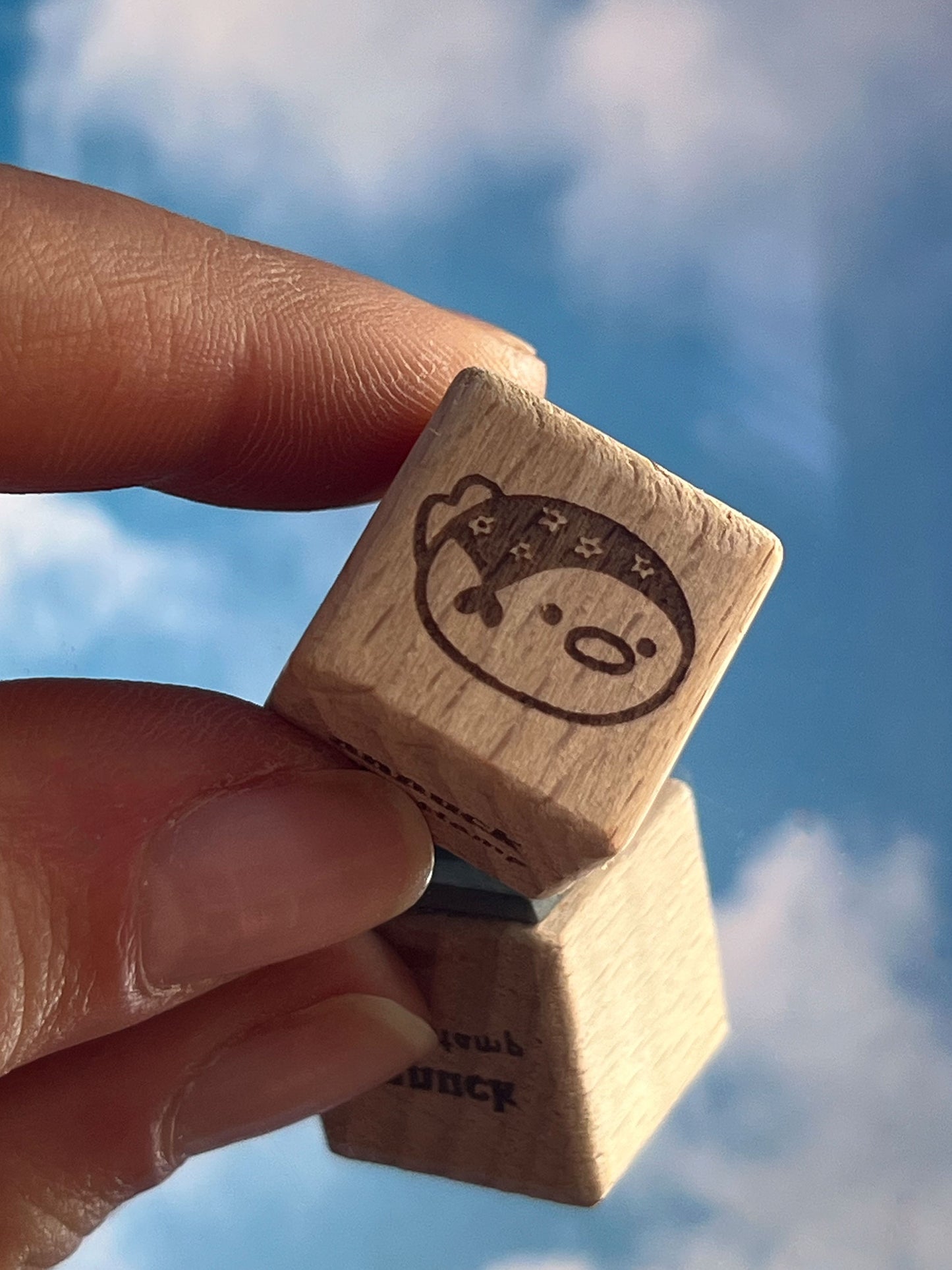 babooshka duck 🪿 timbro