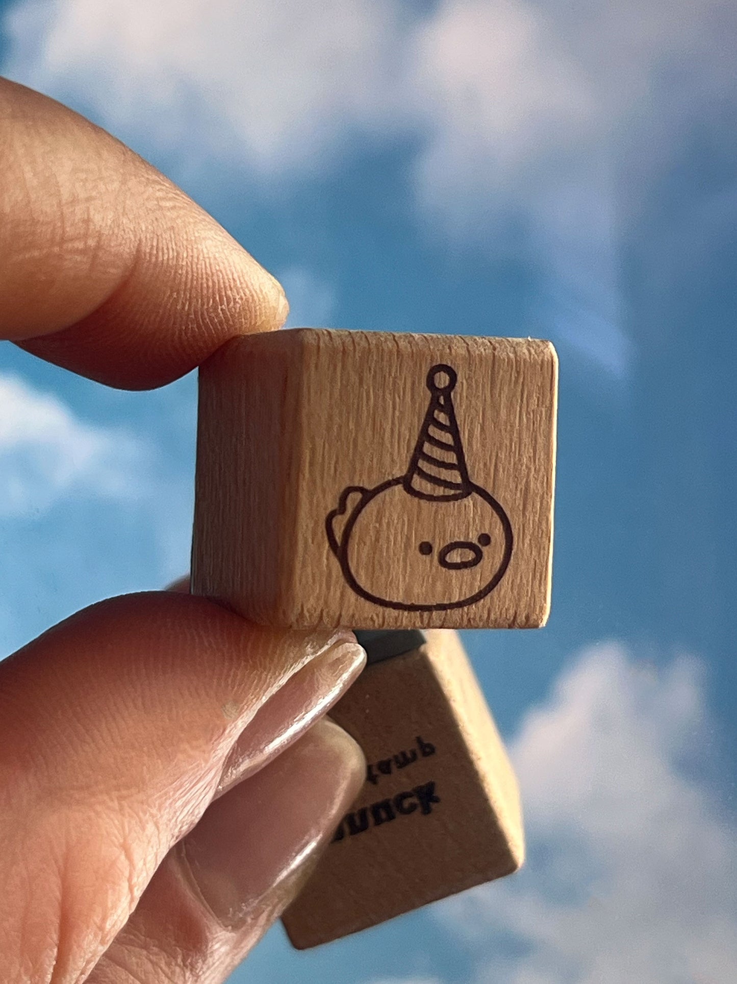 party hat duck 🎉 timbro